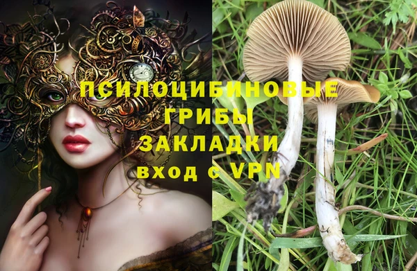 крисы Верхнеуральск